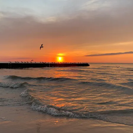 Goscinne Ewela * 莱鲍