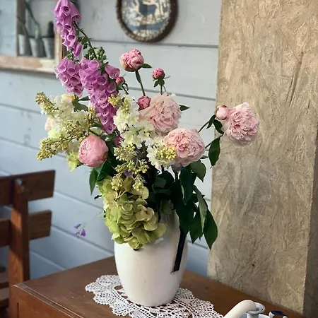 Goscinne Ewela 莱鲍