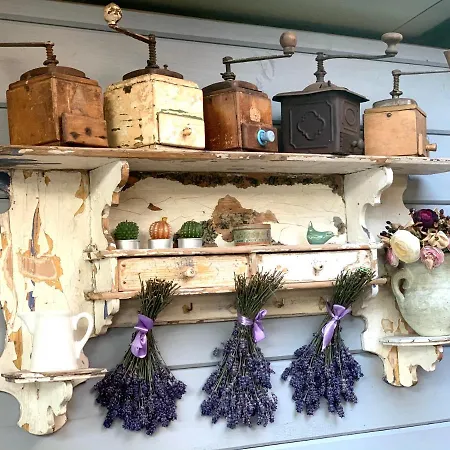 Goscinne Ewela 住宿加早餐酒店