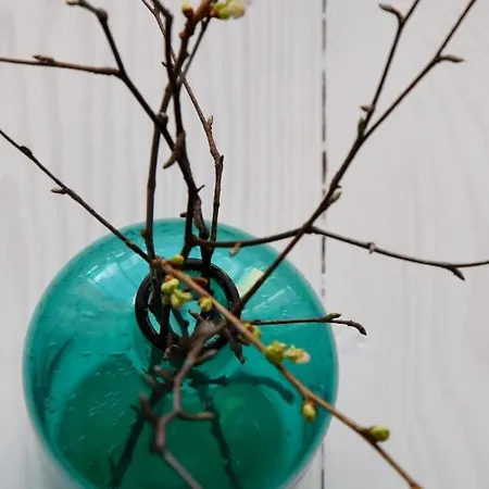 住宿加早餐酒店 Goscinne Ewela 莱鲍