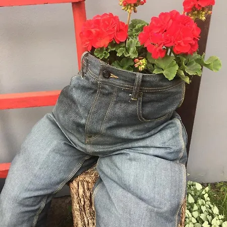 Goscinne Ewela 莱鲍