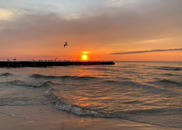 Goscinne Ewela * Леба