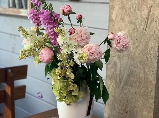 Goscinne Ewela Леба