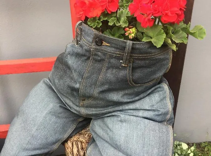 Goscinne Ewela Леба