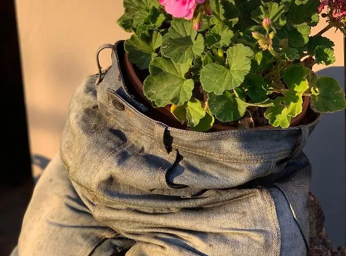 Goscinne Ewela Отель типа 